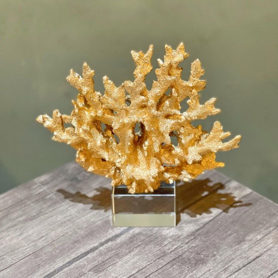 Kristal Ayaklı Dekoratif Mercan Obje